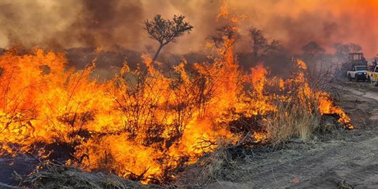 Wildfires burn over 30 pct of Etosha National Park in Namibia