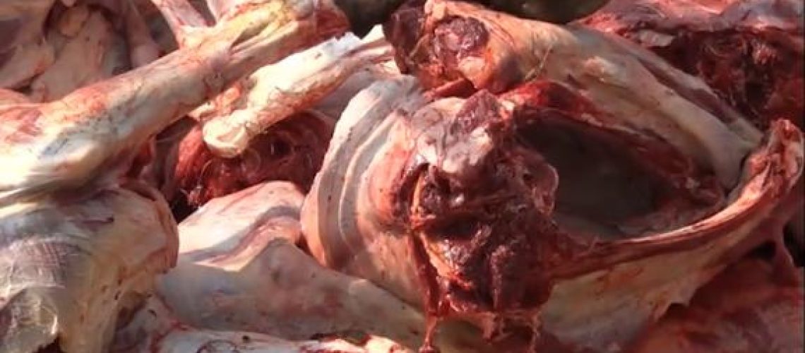 WhatsApp Image 2023-07-06 at 00.10.10