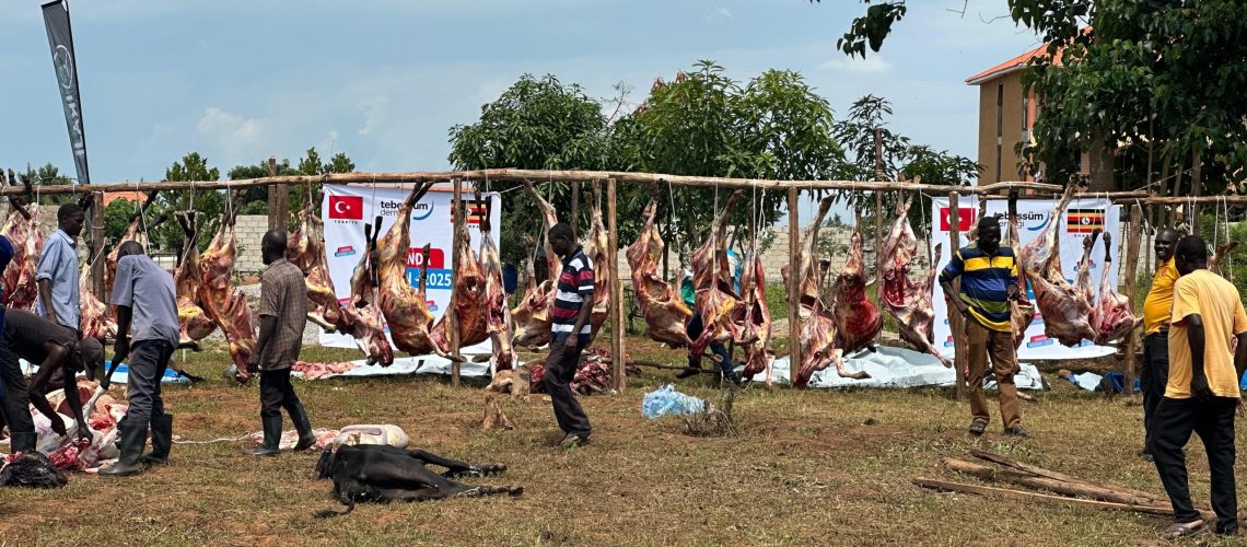 WhatsApp Image 2025-06-08 at 18.24.48